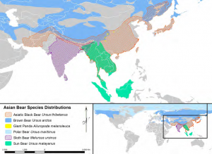 Asian_bear_species_distribution-Brought_to_Bear-TRAFFIC