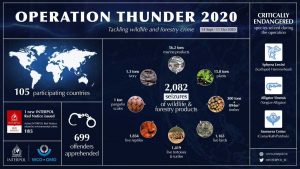 INT-Operation_Thunder_2020-INTERPOL