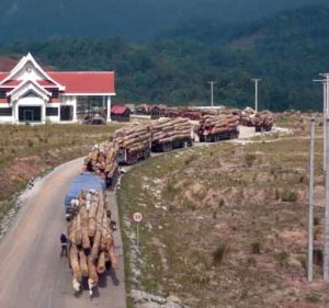 Log trucks waiting to cross Laotian border. By EIA