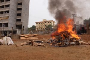 Pangolin_scale_burn_in_Cameroon_14_-_Linh_Nguyen_Ngoc_Bao_-_MENTOR-POP