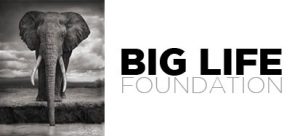 Big Life Foundation Logo