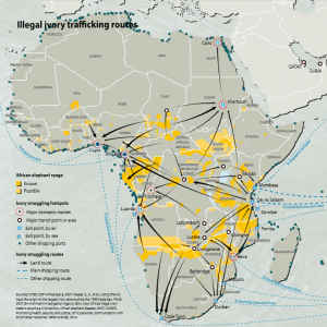 Illegal Ivory Trafficking Routes - Africa - CITES Elephants in the Dust page 48-c