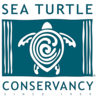Sea Turtle Conservancy Logo