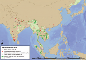 Tiger Seizures 2000-2012 by TRAFFIC - Reduced to Skin and Bones pg14