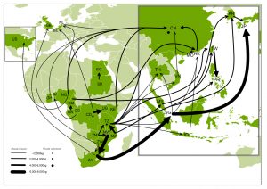 Trade routes for large-scale 500kg+ seizures of ivory 2000-2008 - IUCN-TRAFFIC