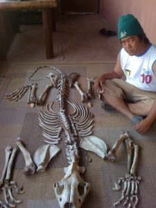 Vixay - Alleged Xaysavang syndicate member with lion bones - by Julian Rademeyer