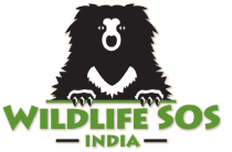 Wildlife SOS Logo